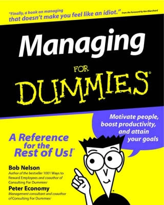 Managing for Dummies; NELSON; 1996