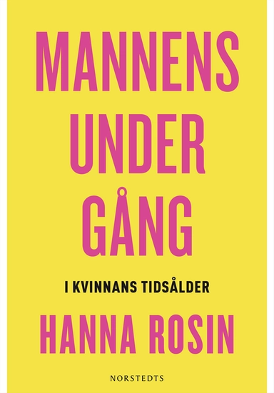 Mannens undergång : i kvinnans tidsålder; Hanna Rosin; 2013