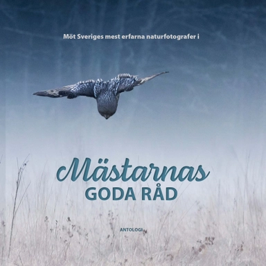 Mästarnas goda råd