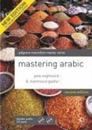 Mastering Arabic 1