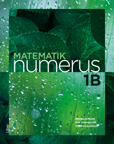 Matematik Numerus 1b