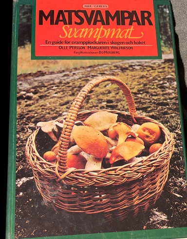 Matsvampar & svampmat
