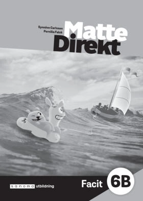 Matte Direkt 6B Facit (5-pack)