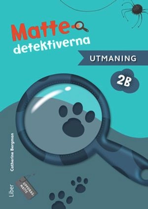 Mattedetektiverna 2B Utmaning, 5-pack