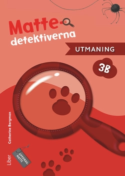 Mattedetektiverna 3B Utmaning, 5-pack