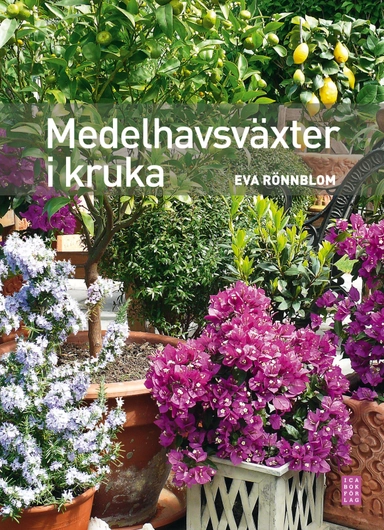Medelhavsväxter i kruka; Eva Rönnblom; 2011