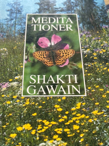 Meditationer : visualiserings- och meditationsövningar som berikar ditt liv; Shakti Gawain; 1991