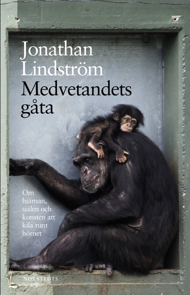 Medvetandets gåta : om hjärnan, själen och konsten att kila runt hörnet; Jonathan Lindström; 2021