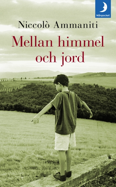 Mellan himmel och jord; Niccolò Ammaniti; 2008