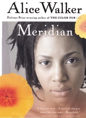 Meridian; Alice Walker; 2003