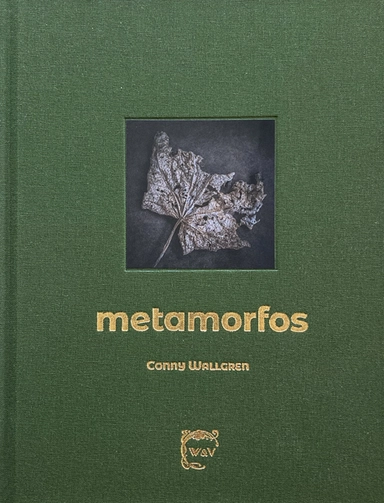 Metamorfos; Conny Wallgren; 2022