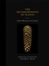 Metamorphosis of Plants; Johann Wolfgang Von Goethe; 2009