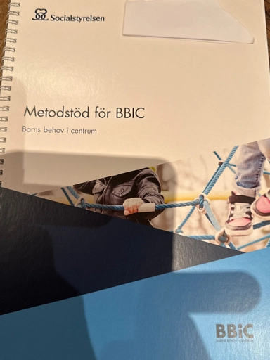 Metodstöd för BBIC : barns behov i centrum