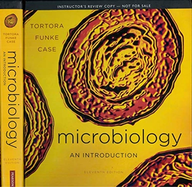 Microbiology : an introduction