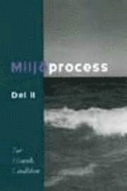Miljöprocess, del II