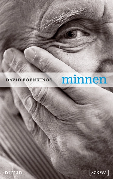 Minnen; David Foenkinos; 2013