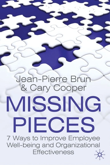 Missing pieces : 7 ways to improve employee well-being and organizational effectiveness; Jean-Pierre Brun; 2009