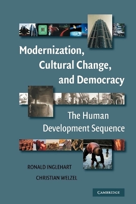 Modernization, cultural change, and democracy : the human development sequence
