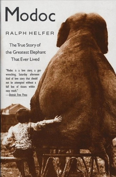 Modoc : the true story of the greatest elephant that ever lived; Ralph Helfer; 1998