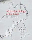 Molecular biology of the gene