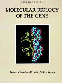 Molecular biology of the gene