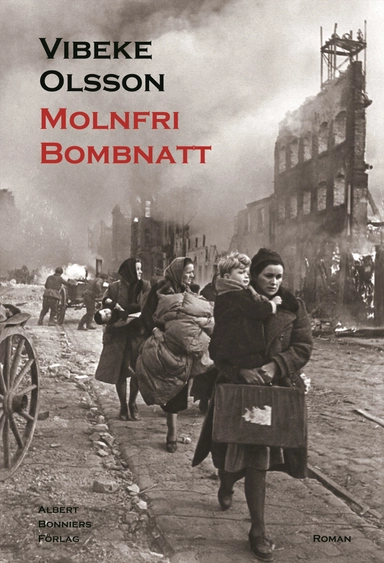Molnfri bombnatt; Vibeke Olsson; 2005