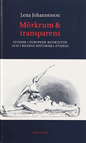 Mörkrum och transparens
