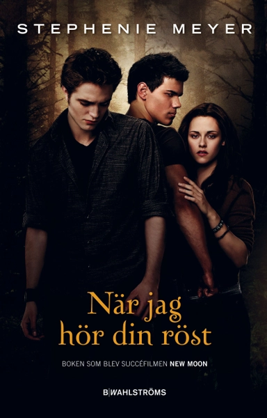 När jag hör din röst