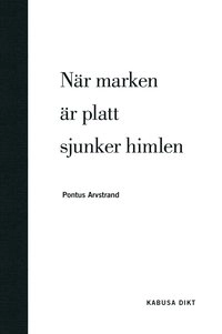 När marken är platt sjunker himlen; Pontus Arvstrand; 2012