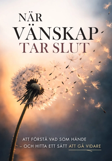 När vänskap tar slut : att förstå vad som hände - och hitta ett sätt att gå vidare; Stefan Ekberg; 2026