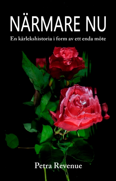 Närmare nu : en kärlekshistoria i form av ett enda möte