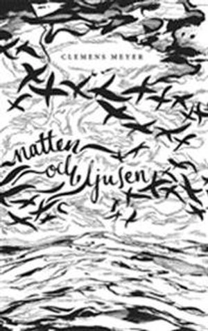 Natten och ljusen; Clemens Meyer; 2012