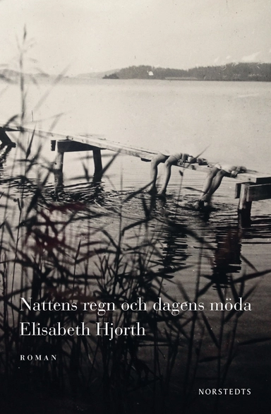 Nattens regn och dagens möda; Elisabeth Hjorth; 2017