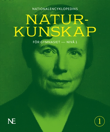 NE Naturkunskap för gymnasiet - nivå 1
