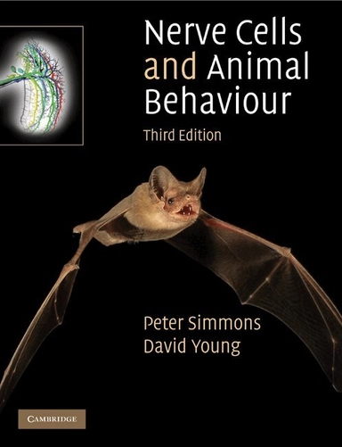 Nerve cells and animal behaviour
