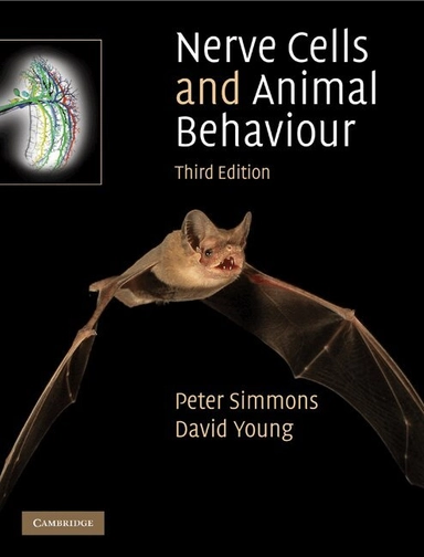 Nerve cells and animal behaviour