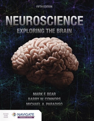Neuroscience : exploring the brain