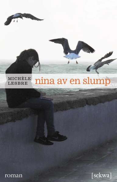 Nina av en slump : roman; Michèle Lesbre; 2012
