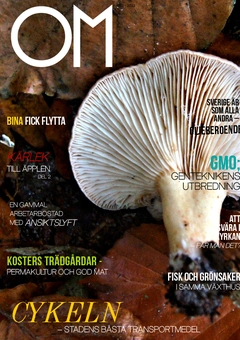 OM 1(2013)