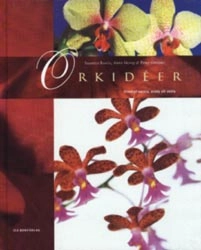 Orkidéer; Susanna Rosén; 2003