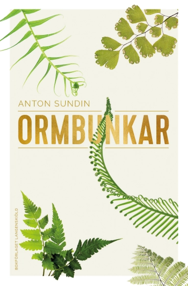 Ormbunkar; Anton Sundin; 2019