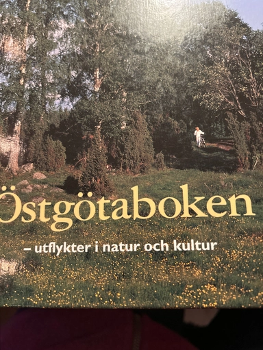 Östgötaboken : utflykter i natur och kultur; Magnus Engberg; 1996