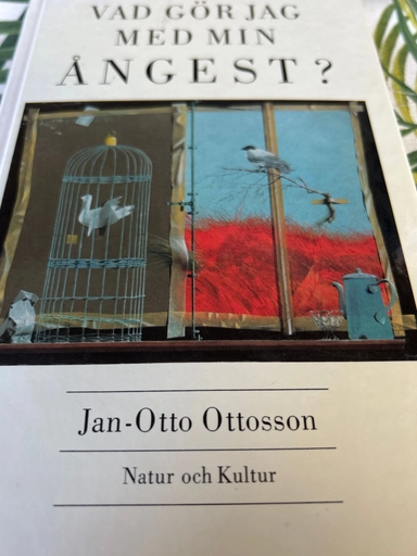 Ottosson, J/Vad gör jag med min ångest?