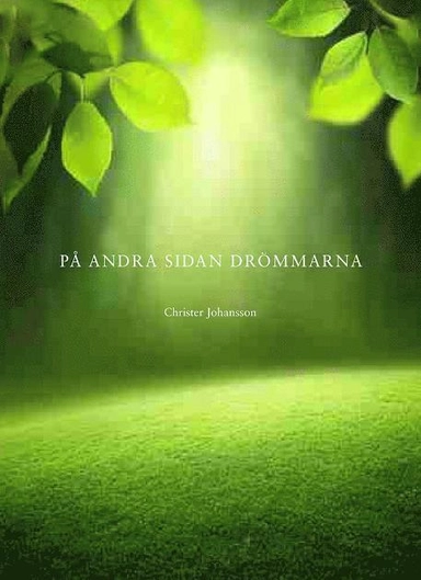 På andra sidan drömmarna; Christer Johansson; 2014