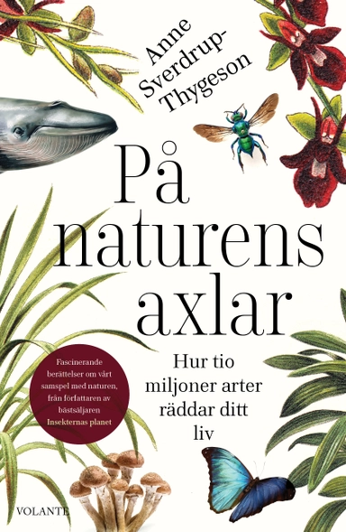 På naturens axlar : hur tio miljoner arter räddar ditt liv; Anne Sverdrup-Thygeson; 2021