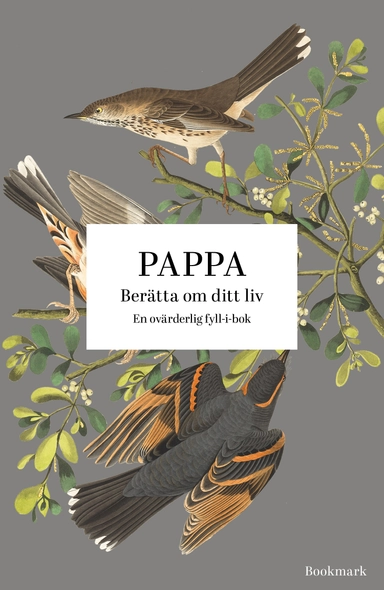 Pappa : berätta om ditt liv; Josefine Bergkvist, Louise Eriksson; 2023