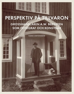 Perspektiv på tillvaron : Grosshandlaren A.W. Bergsten som fotograf och konstnär; Hans Antonson; 2017