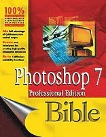 Photoshop 7 Bible, Professional Edition