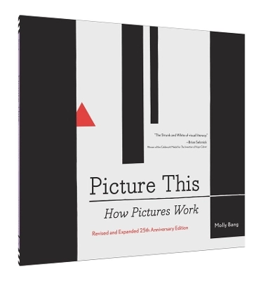 Picture this : how pictures work; Bang Garrett; 2016