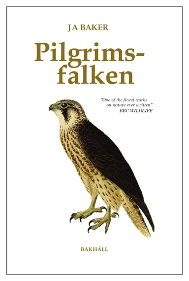 Pilgrimsfalken; J. A. Baker; 2021